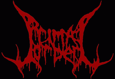 logo Primal Order logo Primal Order